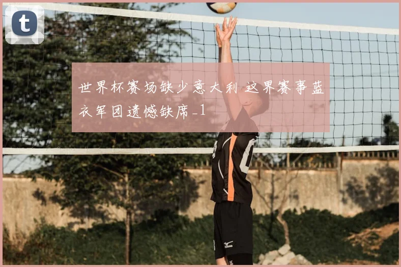 世界杯赛场缺少意大利 这界赛事蓝衣军团遗憾缺席_1