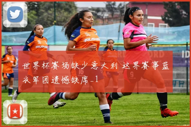 世界杯赛场缺少意大利 这界赛事蓝衣军团遗憾缺席_1